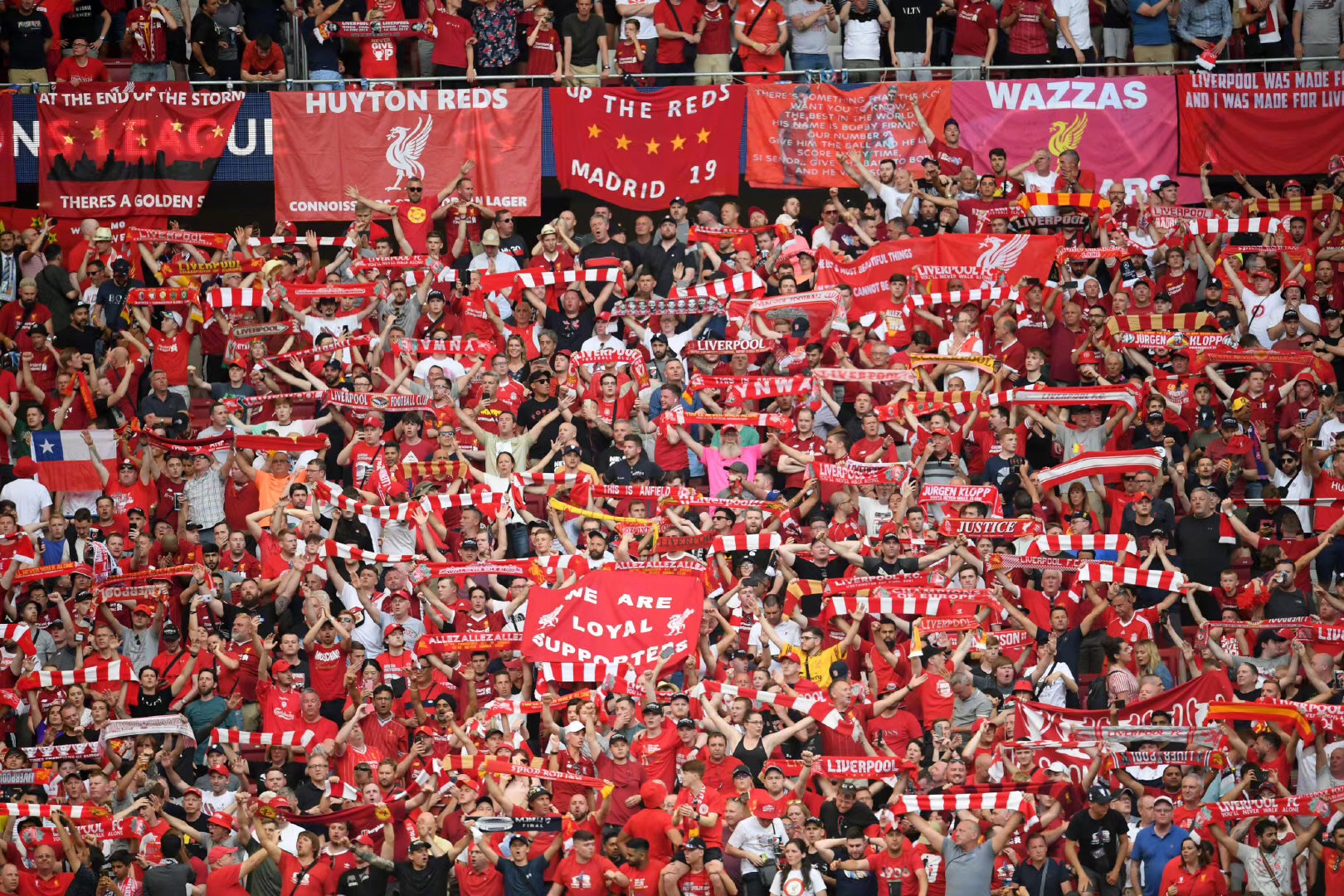 Doinb完成最后一舞，NIP止步八强，Tarzan化身战神，AL打出人机局