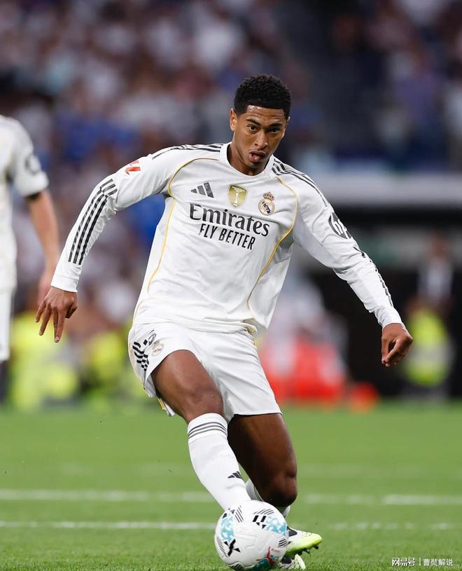 综合体育平台权威解读 提升内容专业可信度